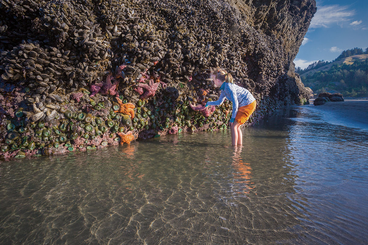 girl tidepool