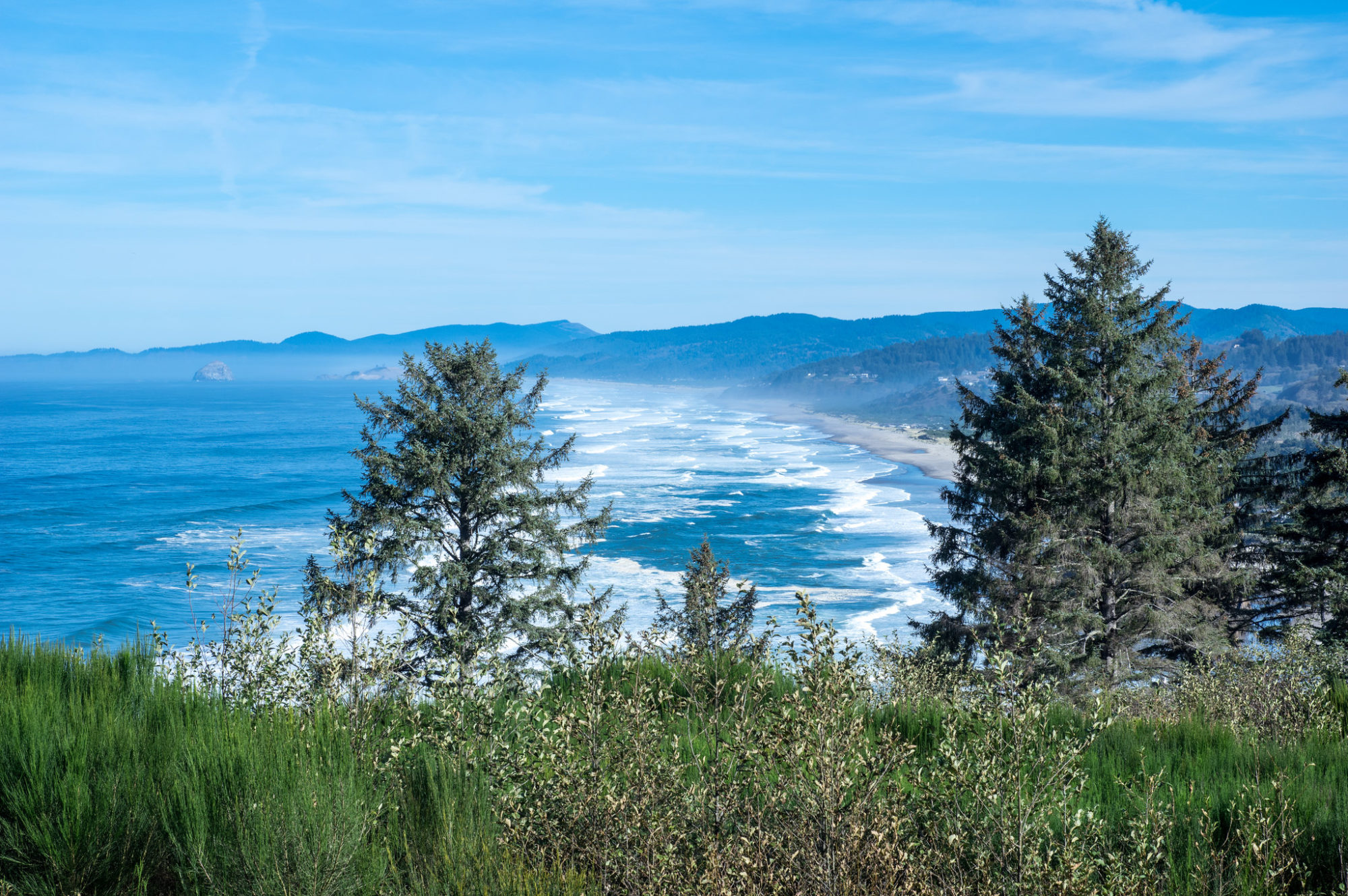 neskowin bay vista