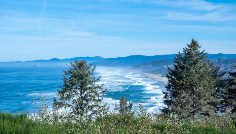 neskowin bay vista