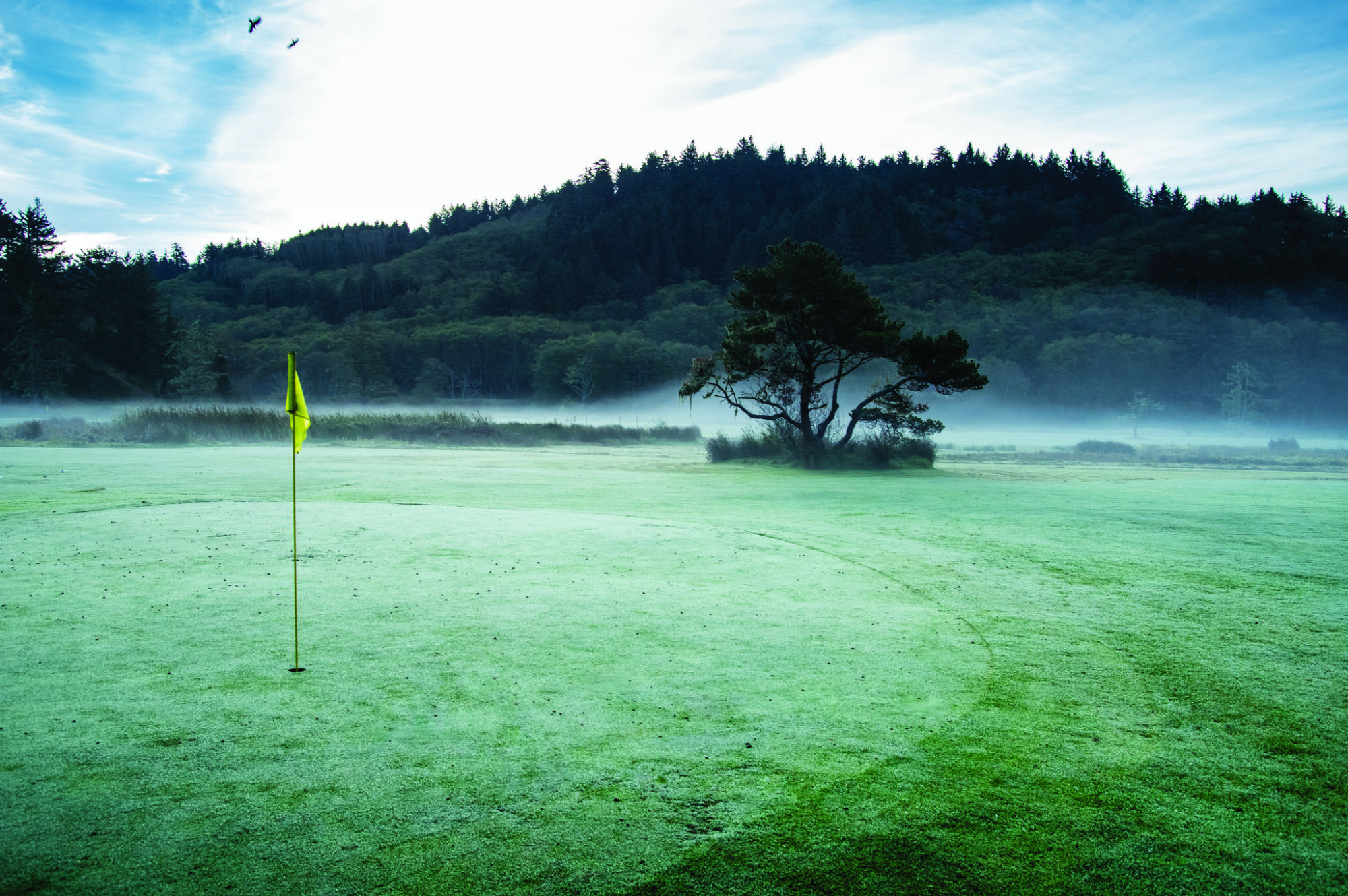 neskowin golfing