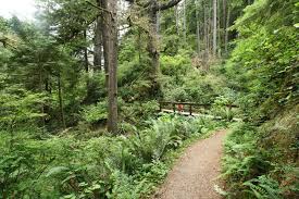 Siuslaw National Forest