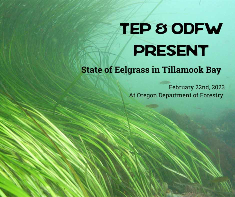 TEP ODFW Eeelgrass Presentation 6ziHKC.tmp