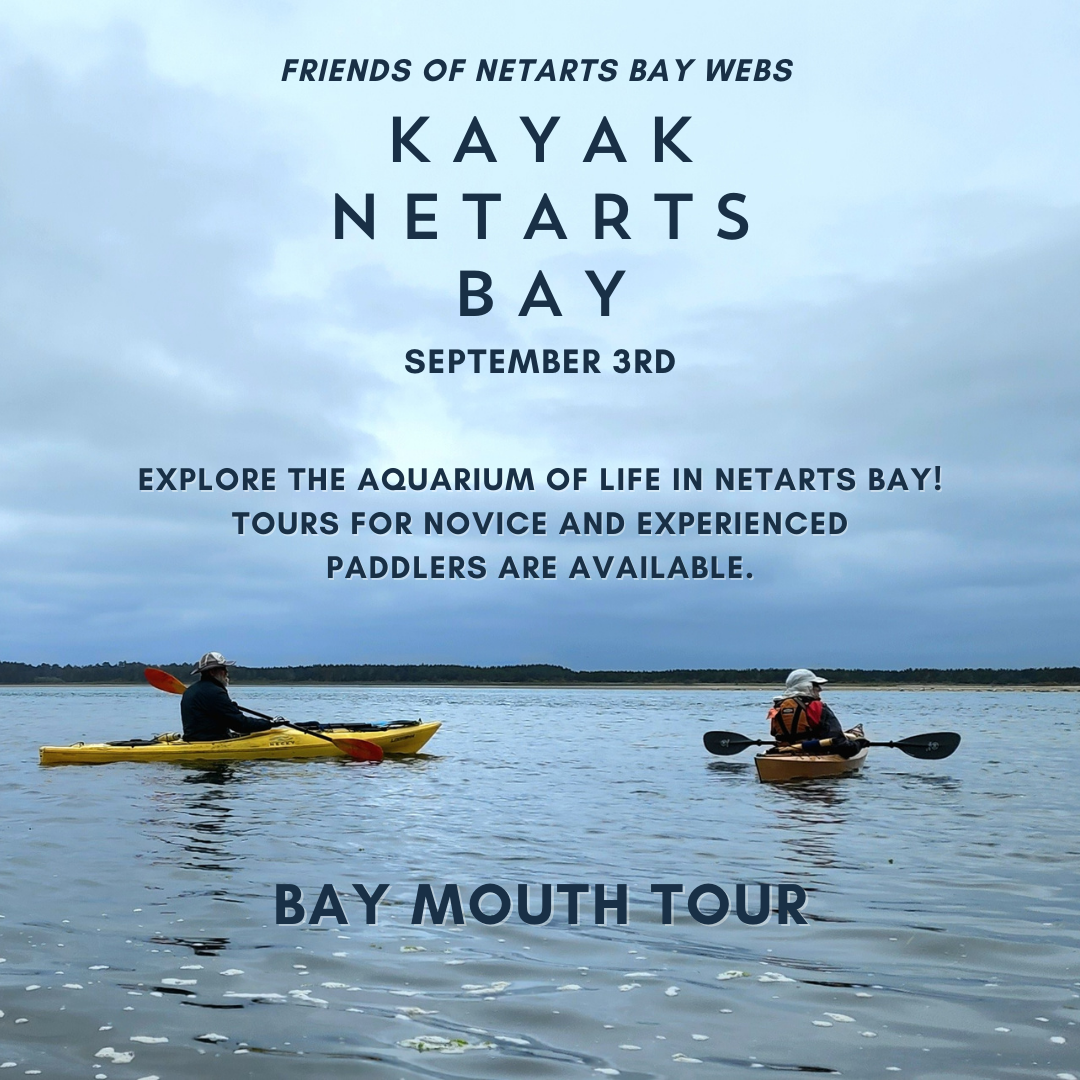 Kayaking 2023 Sept Bay Mouth Tour Y1za0F.tmp