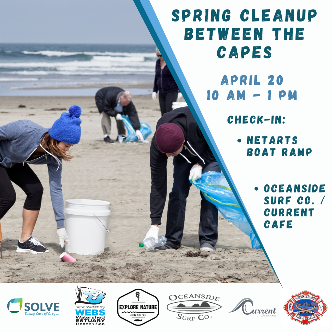 April 20 2024 Beach Clean UP KAR29G.tmp