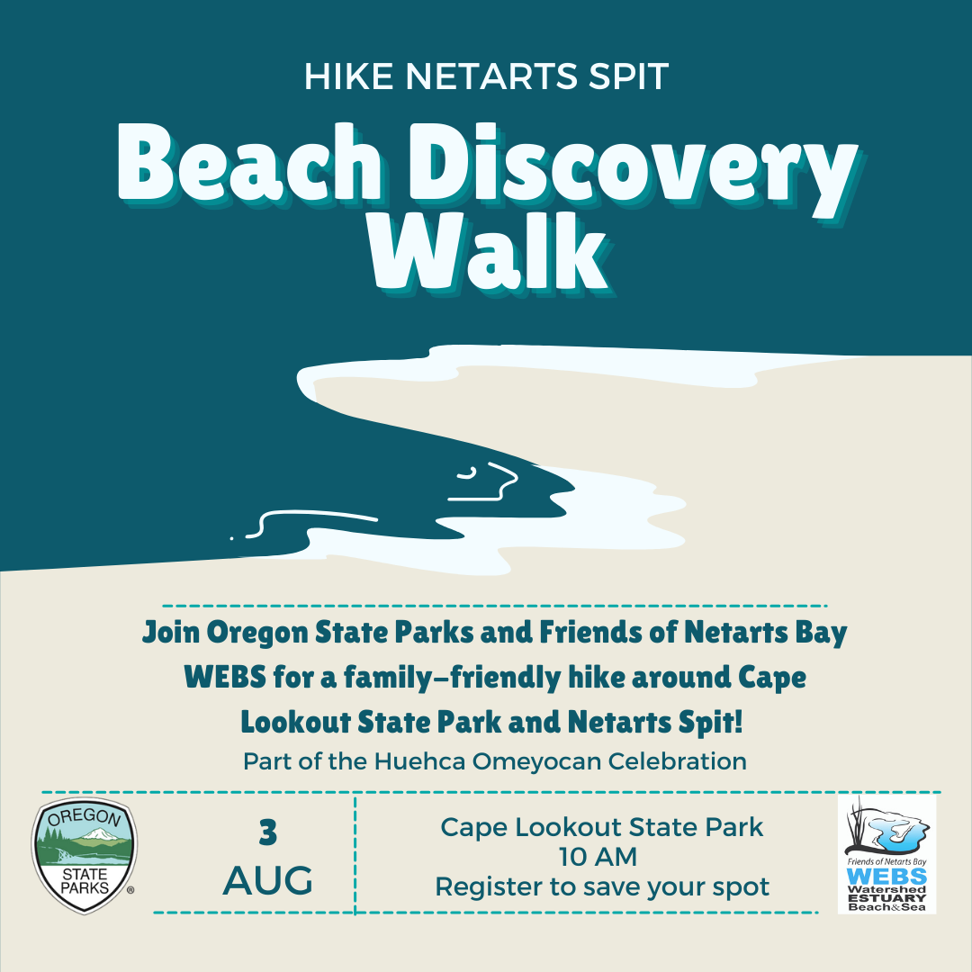 Beach Discovery Walk Cape Lookout 1 egYxdW.tmp