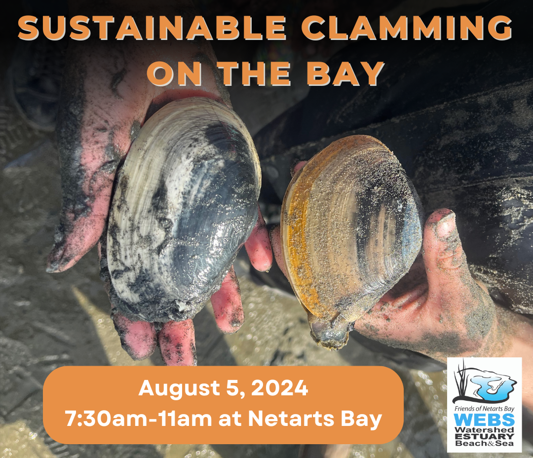 Sustainable Clamming Aug 5th 2024 1 m2e1VN.tmp