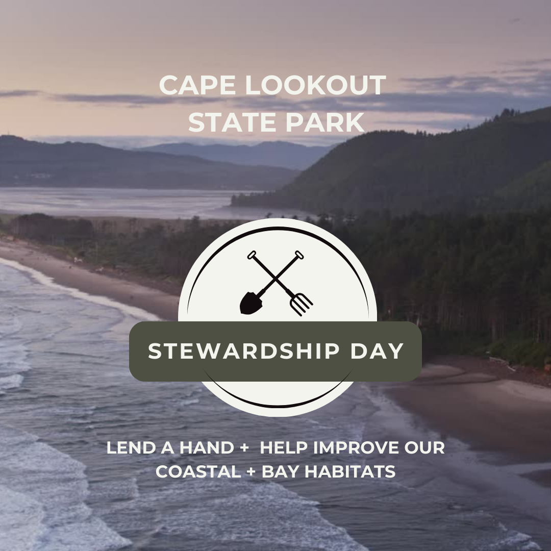 Cape Lookout Stewardship img 1 YO5IDM.tmp