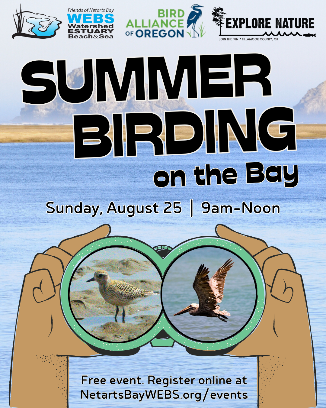 Summer Birding on the Bay 2024 45 IG 2 npY0Su.tmp