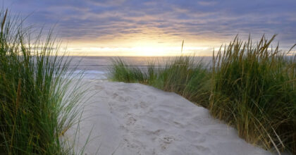 coast oregon john peters ULR IRGPbmM unsplash class 1 6UaJGd.tmp