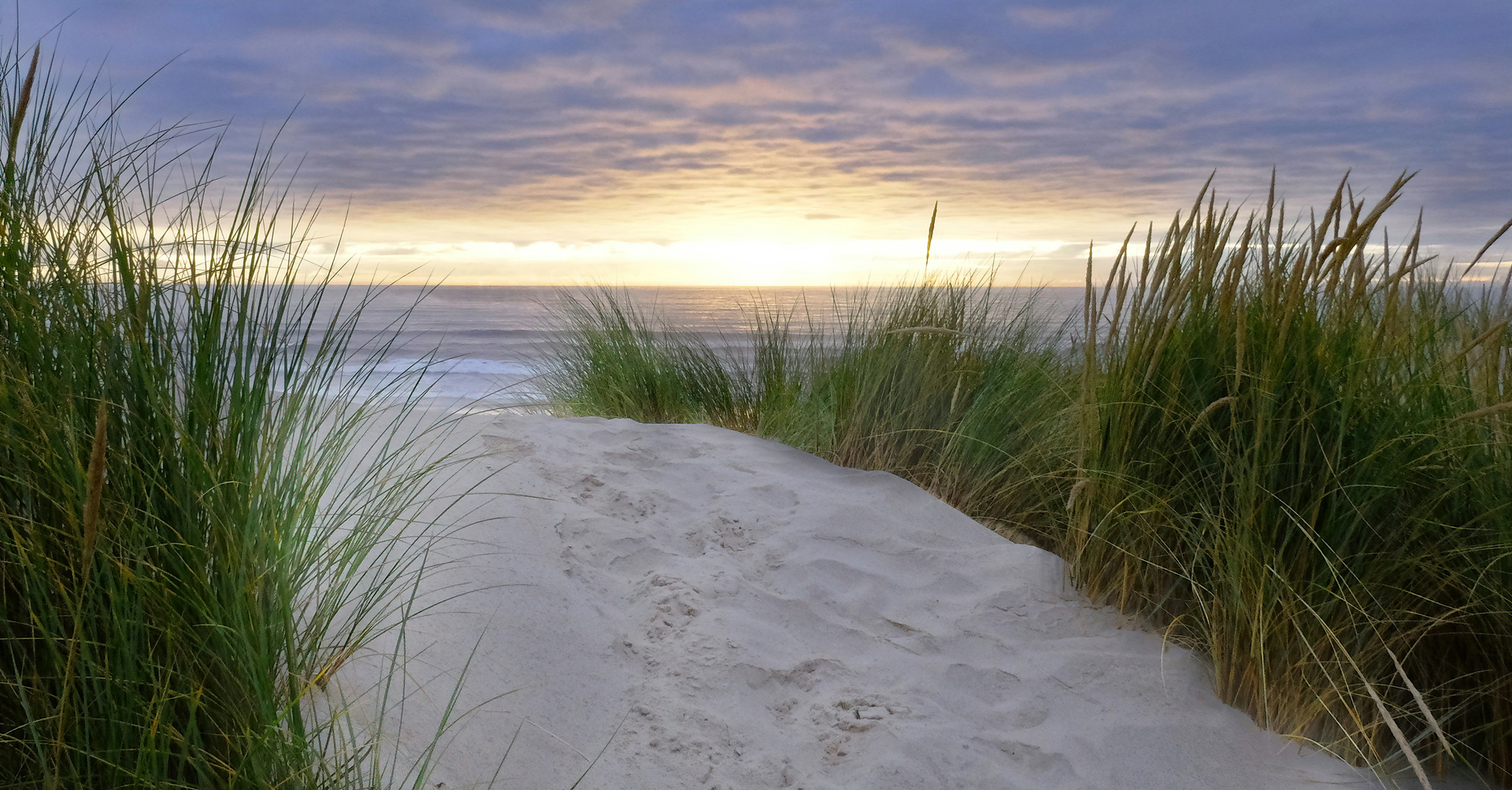 coast oregon john peters ULR IRGPbmM unsplash class 1 6UaJGd.tmp