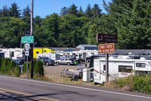 Big Spruce RV Park & Boat Rental - Netarts