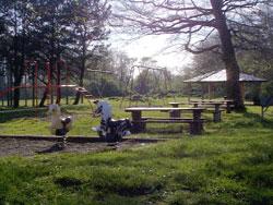 Al Griffin Memorial Park Campground - Bay City