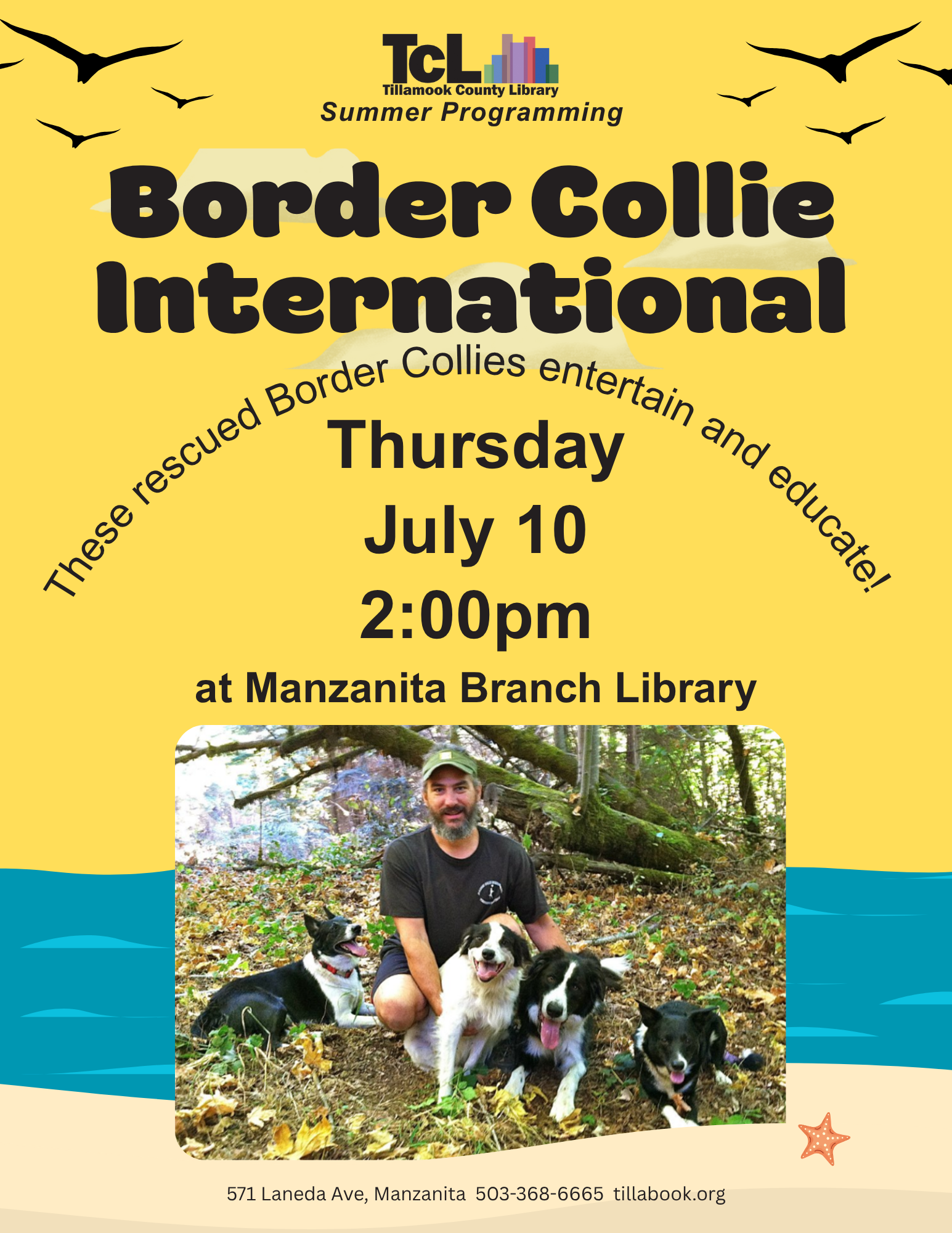 Border Collies Intl. 071025 TZ FfPpLA