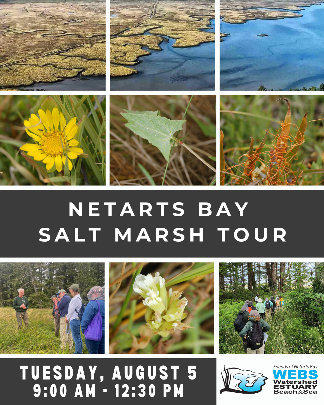 Salt Marsh Program 2025 rIMdXm
