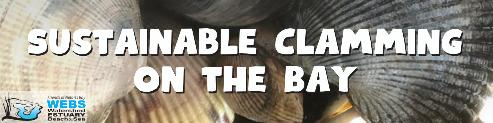 Sustainable Clamming Banner WNRx00
