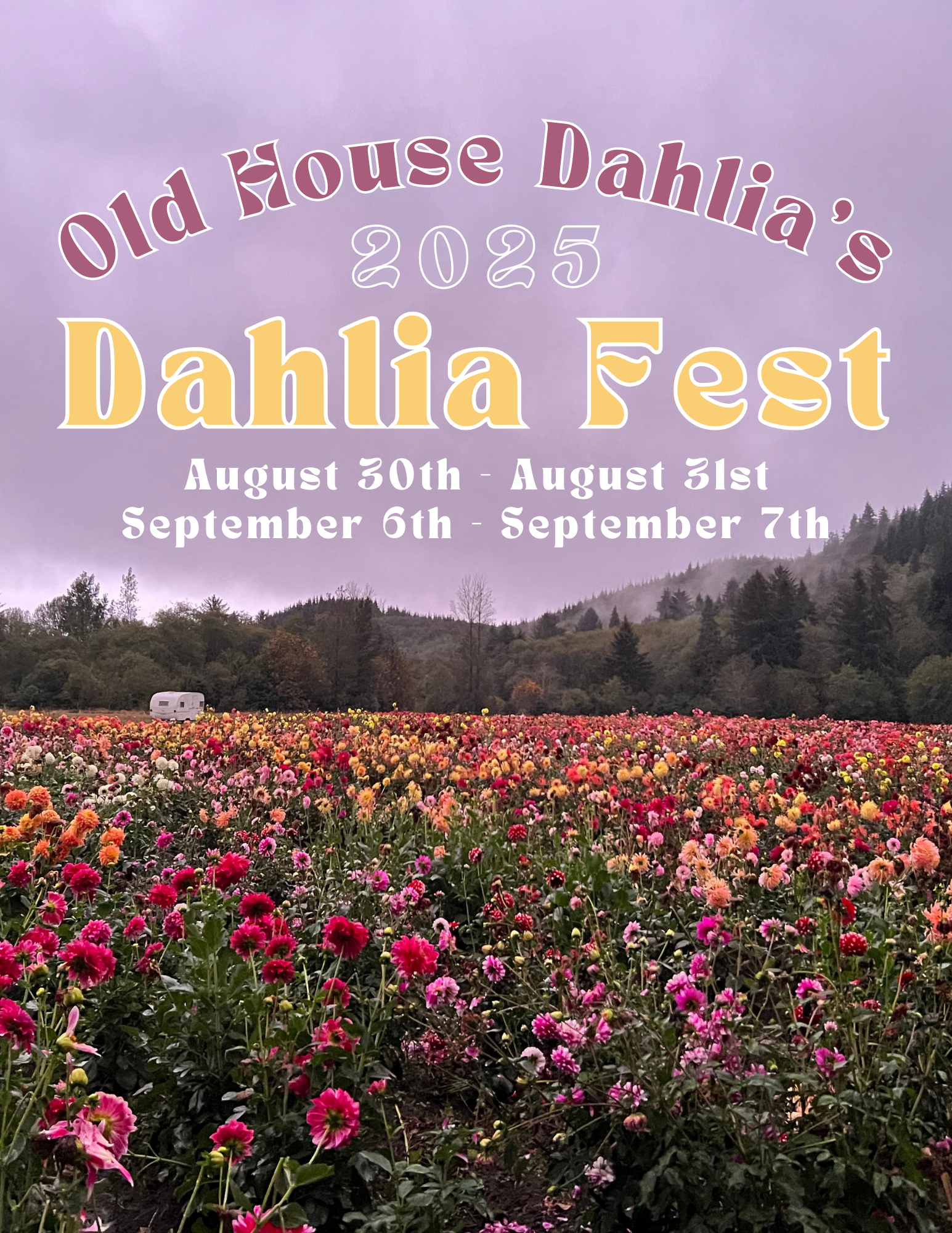 2024 Dahlia Festival HR9wGb
