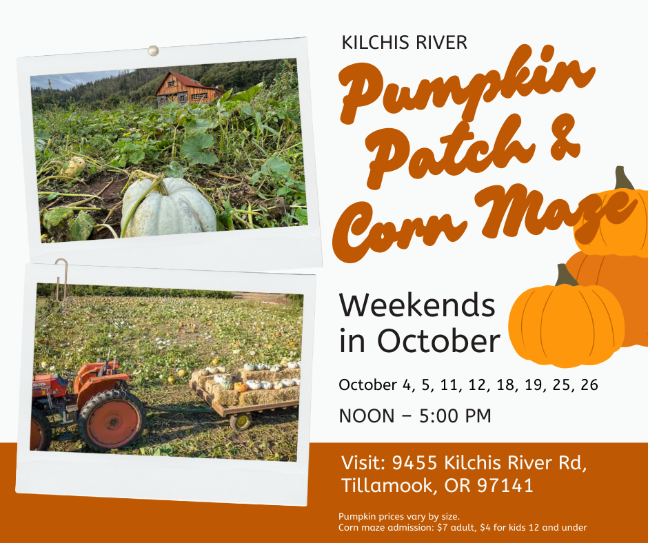 Pumpkin Patch Dv9tWu