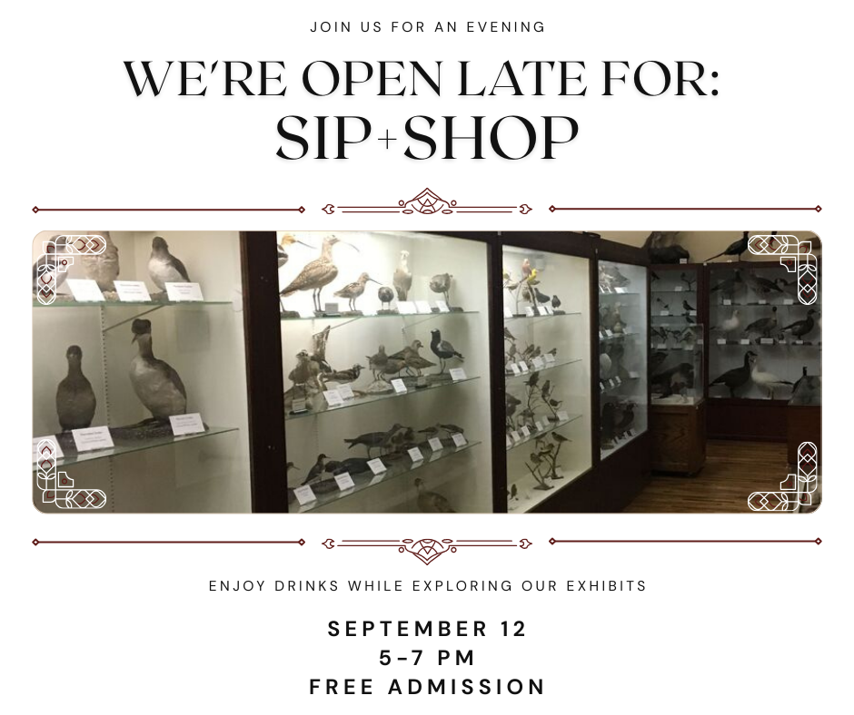 Sip Shop Facebook post uUXLK6