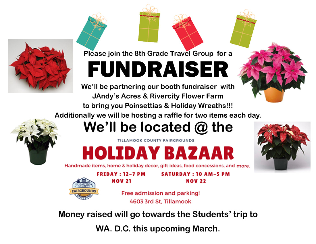 Bazaar Flyer DC trip wrhIVN