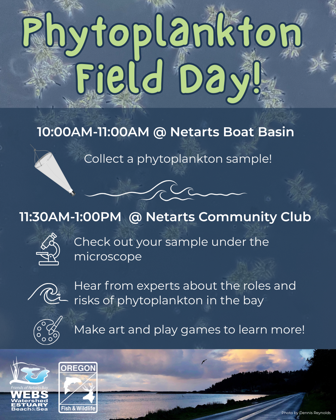 Phytoplankton Digital Gaphic IBSioL