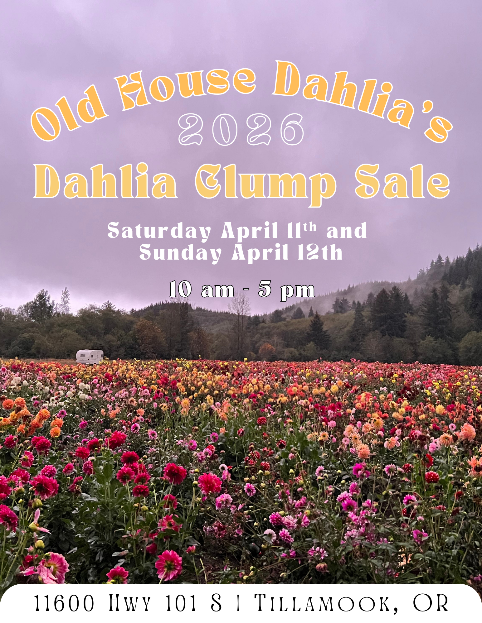 2024 Dahlia Festival 1 wH76Un