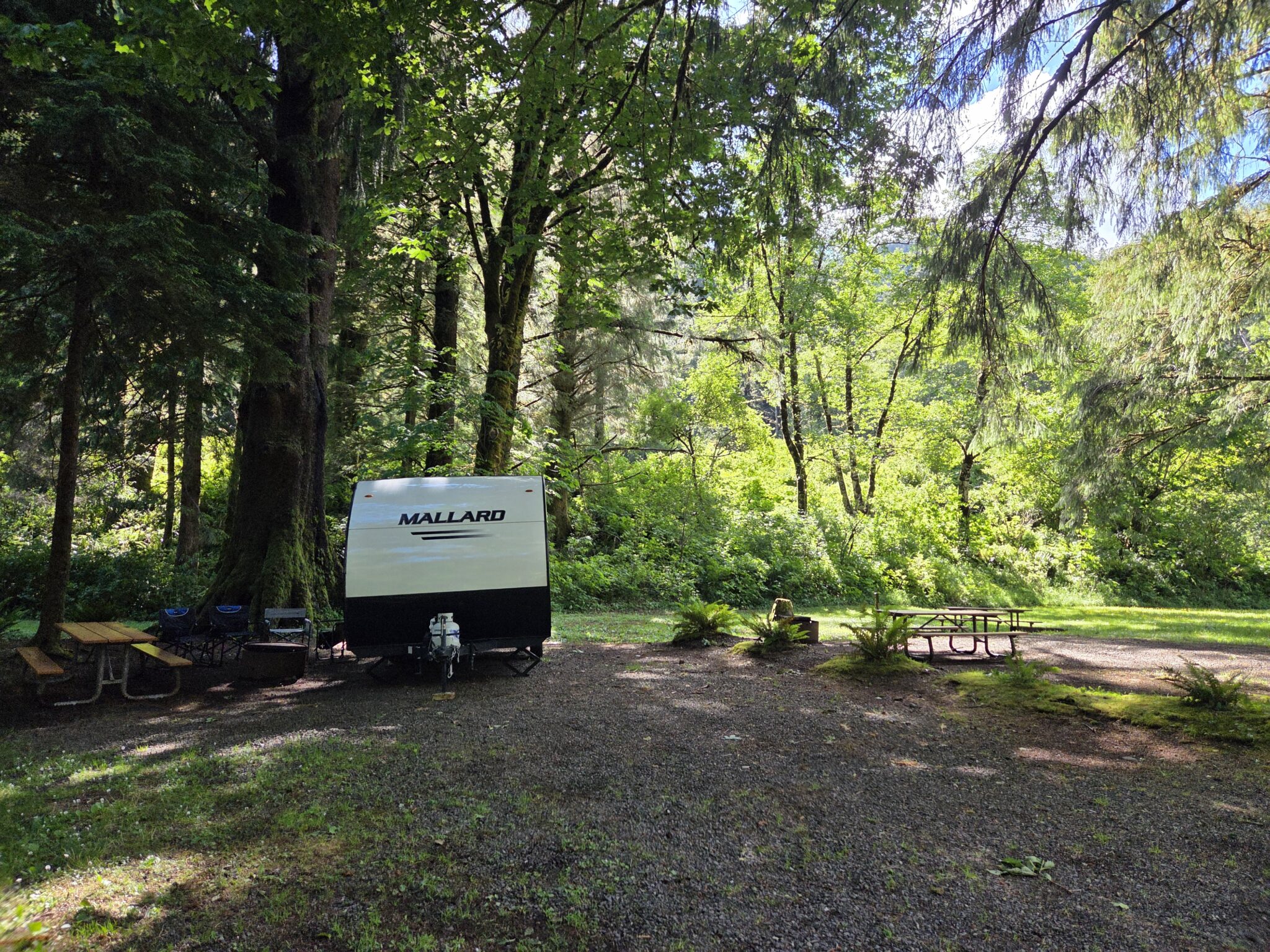Kilchis River County Campground