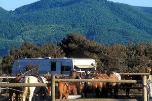 Nehalem Bay State Park