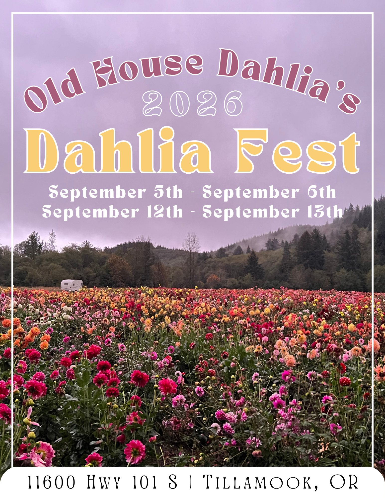 2024 Dahlia Festival 4 a75xQy